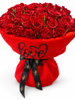 ChatGPT Image Oct 17, 2026, 09_52_29 PM Love in Scarlet