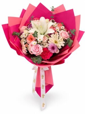WhatsApp Image 2026-10-16 at 5.54.36 PM Pink Parade