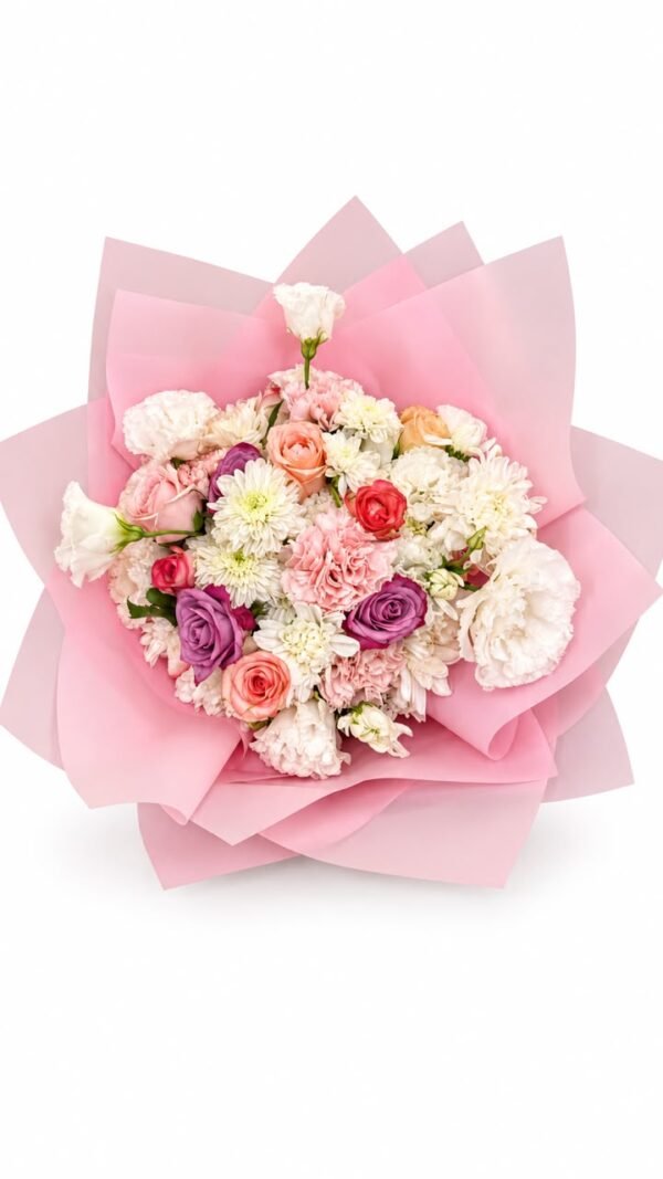 WhatsApp Image 2026-10-16 at 5.56.01 PM The Softest Hello